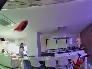 voyeurcam casa salsa fishtank